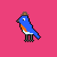 Bitcoin Birds #176
